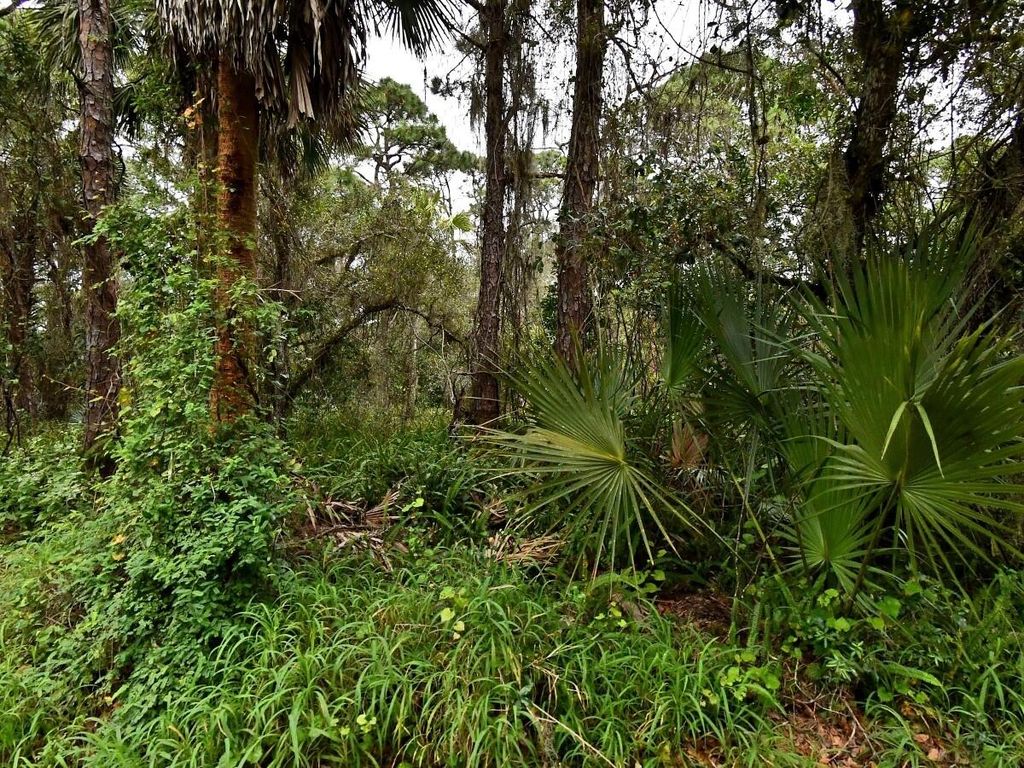Photo of Tbd Oak Hammock Lane, Fort Pierce, FL 34981 (MLS # B26026216)