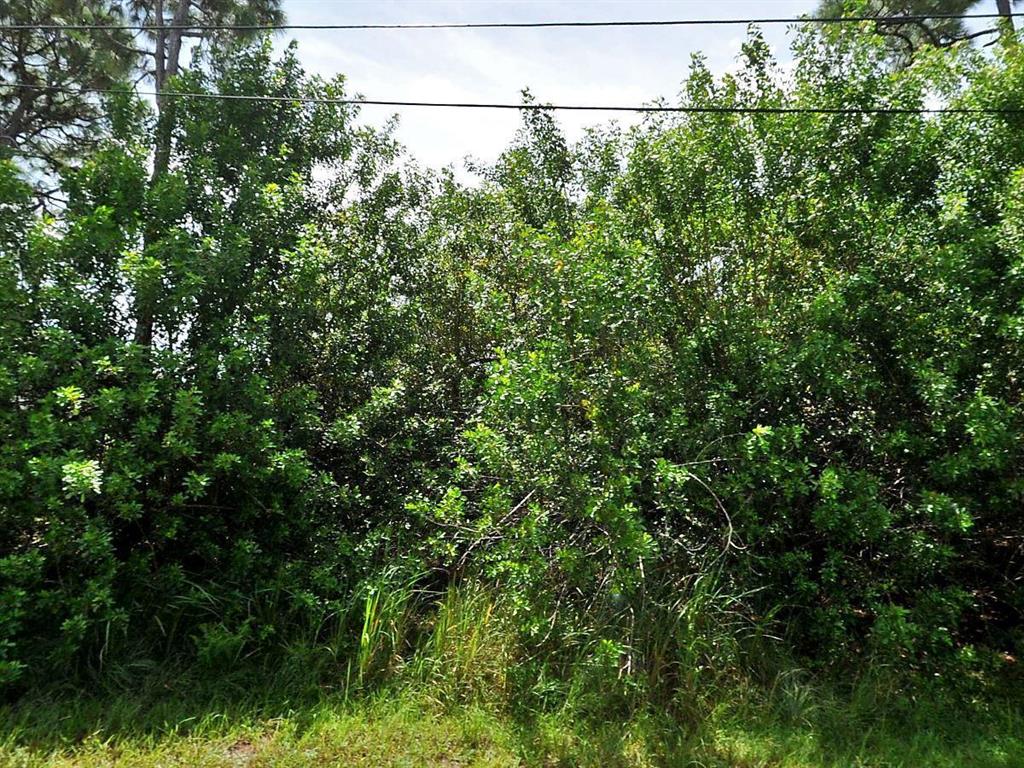 Build your dream home on this 1/4 acre lot in desirable location in Port St. Lucie.