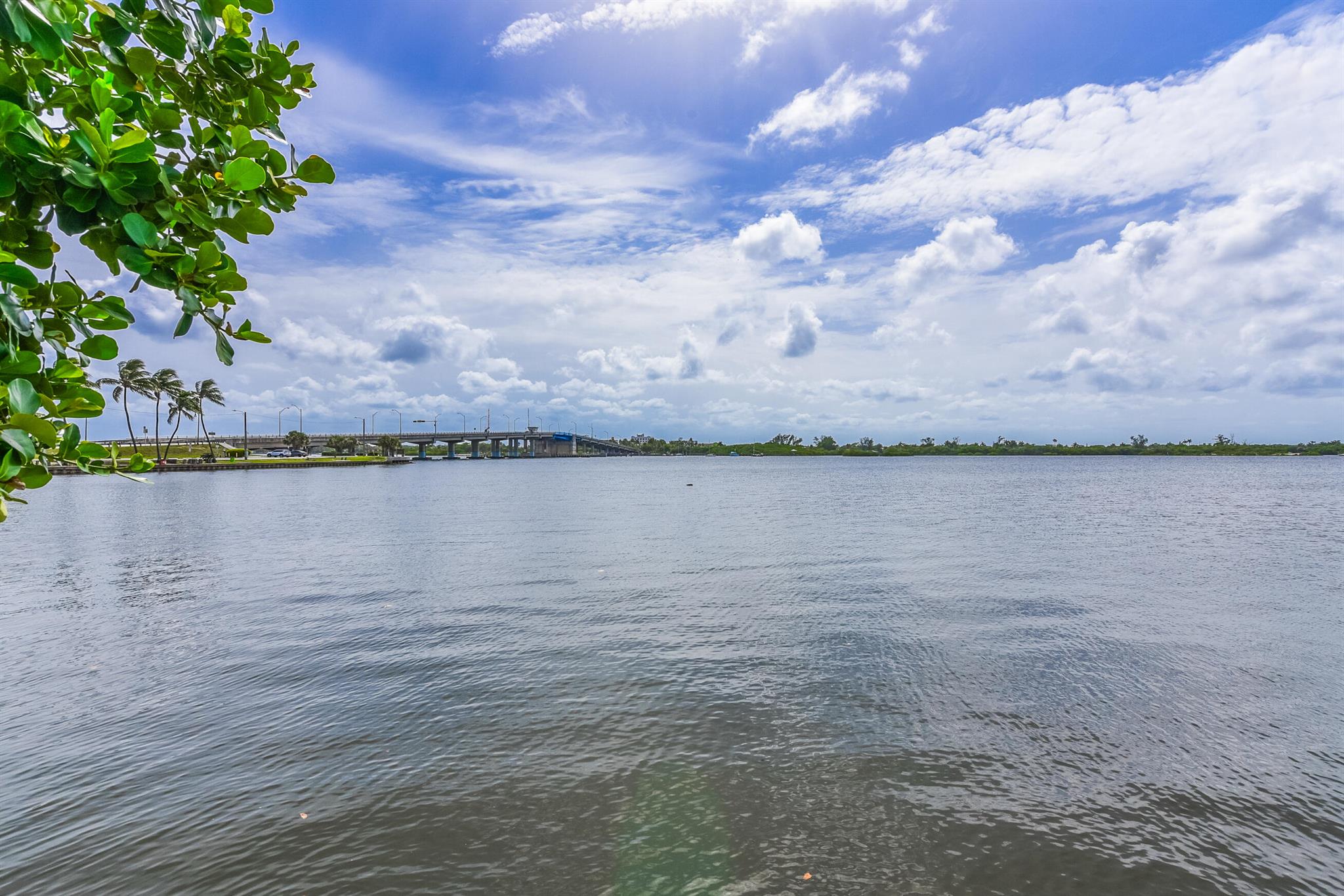 LA PALMA CONDOMINIUM - Residential