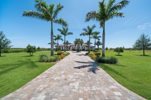 A home in Palm City