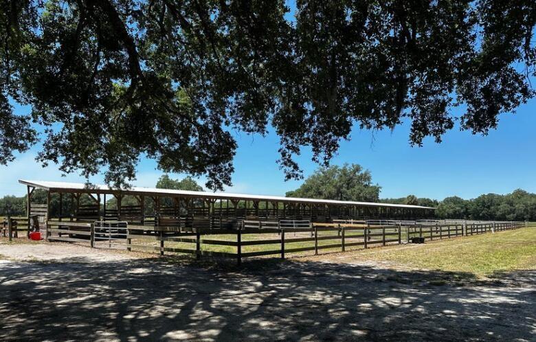 Indian Hammock Hunt & Rid - Land