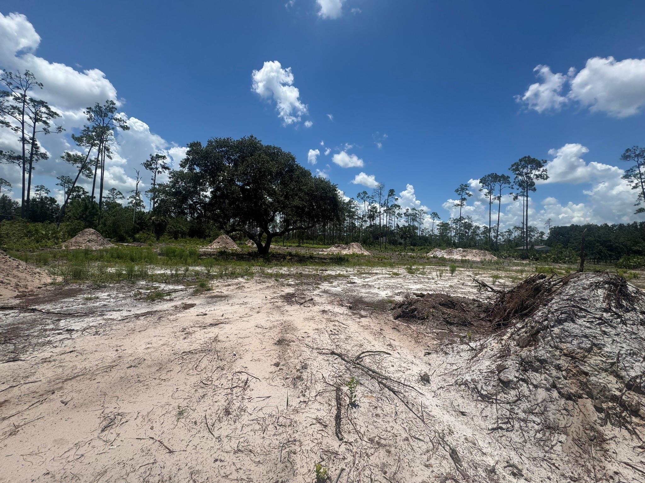 Indian Hammock Hunt & Rid - Land