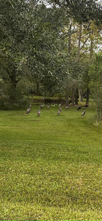 Indian Hammock Hunt & Rid - Land