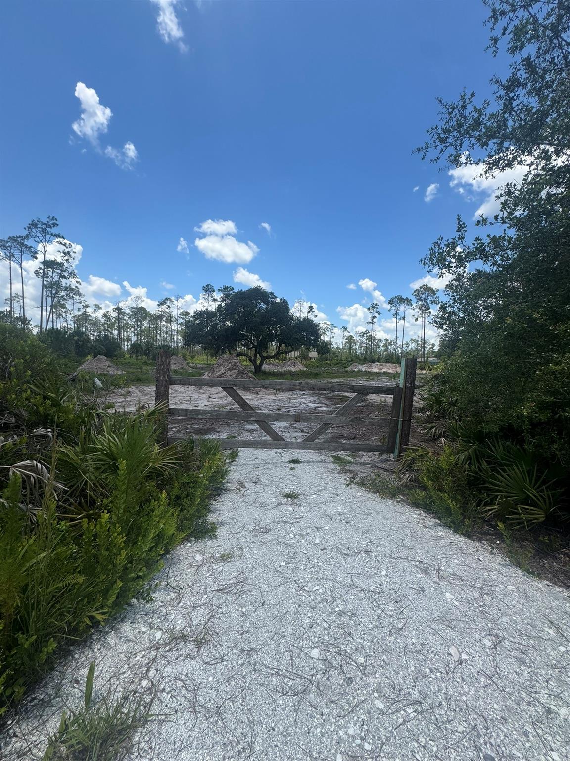 32801 Hwy 441 Lot 154