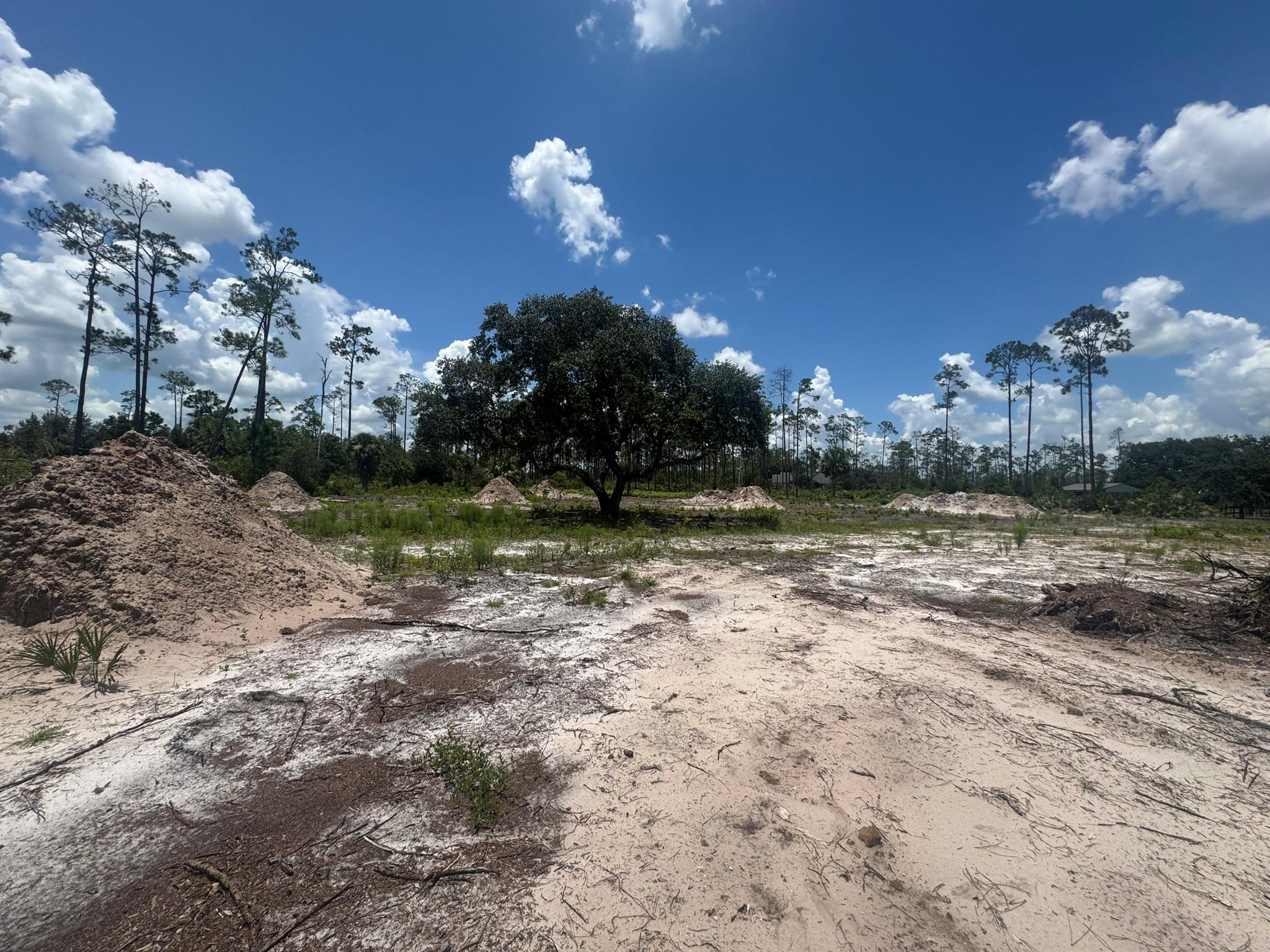 32801 Hwy 441 Lot 154