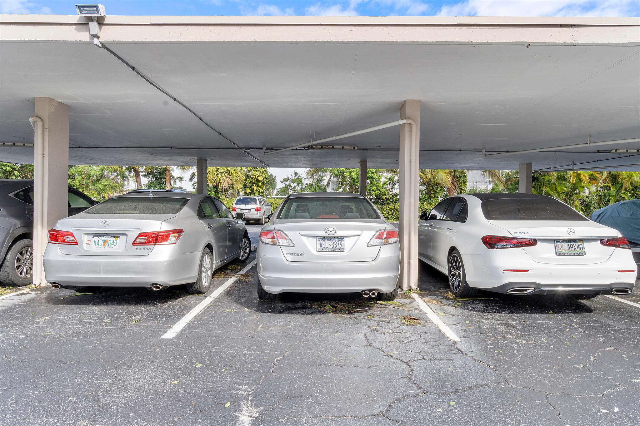 PATRICIAN - Residential Lease