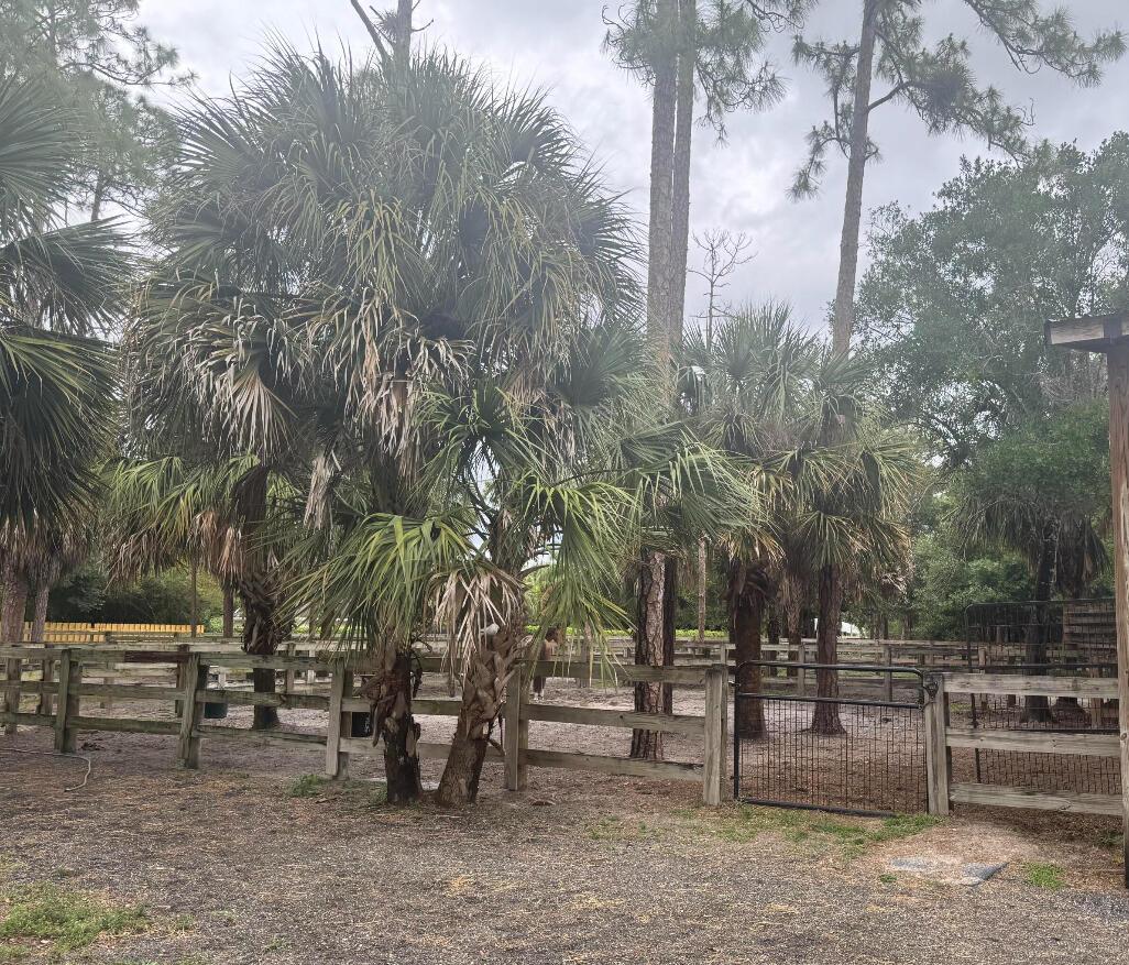 13119 Collecting Canal Rd Road