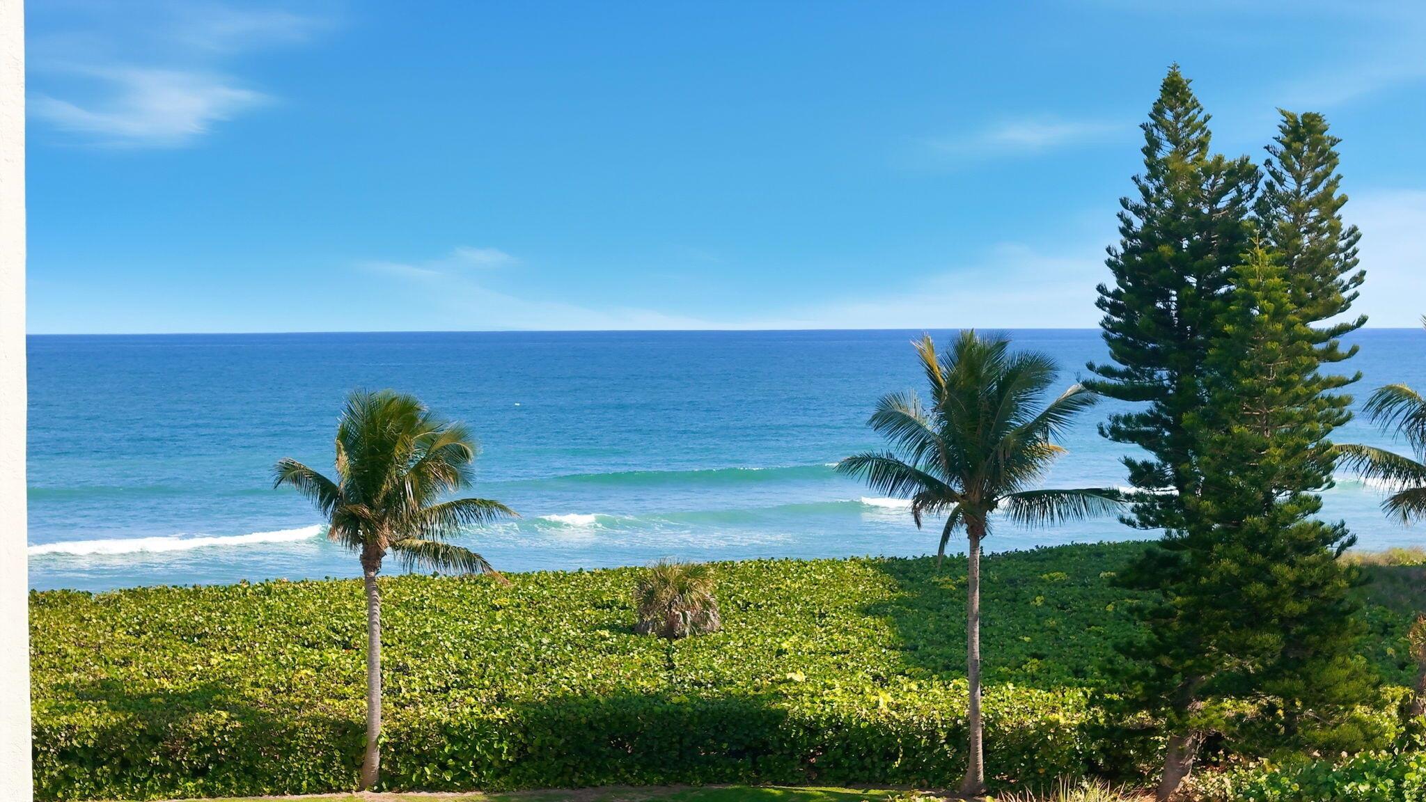 OCEANA OCEANFRONT CONDOMI - Residential Lease