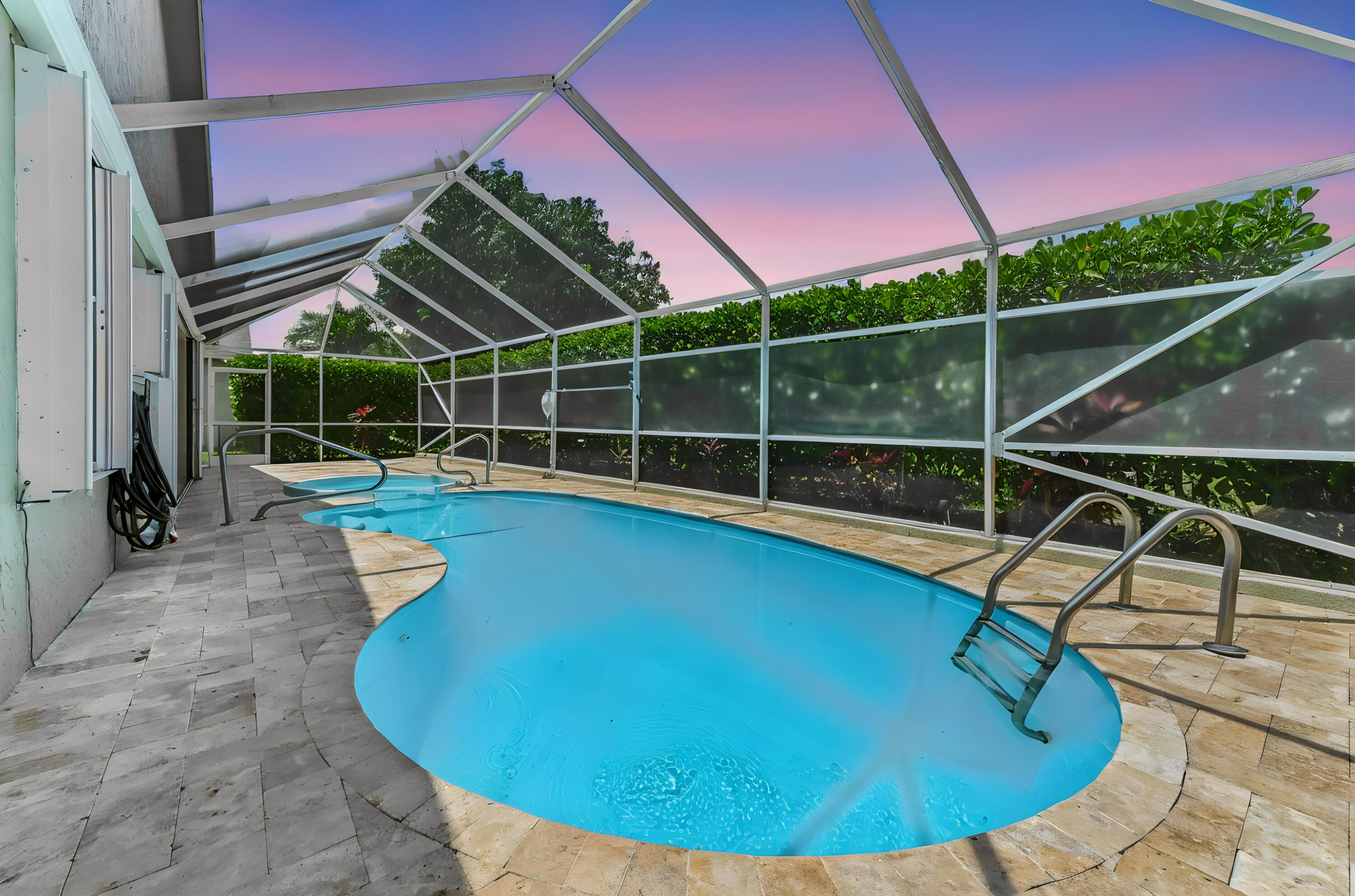 Olive Tree - Residential