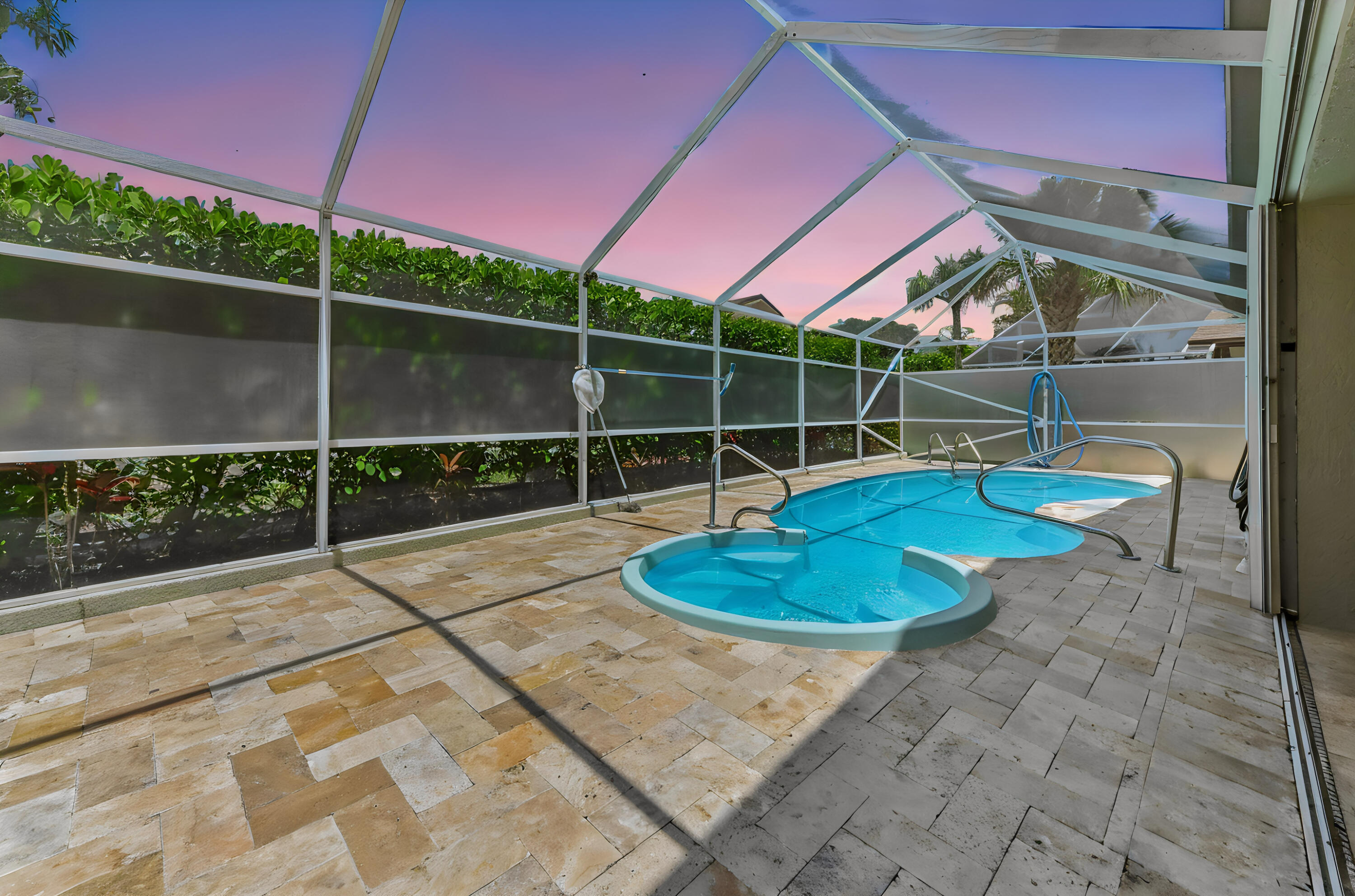 Olive Tree - Residential