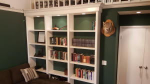 RIDGE AT THE BLUFFS - Residential