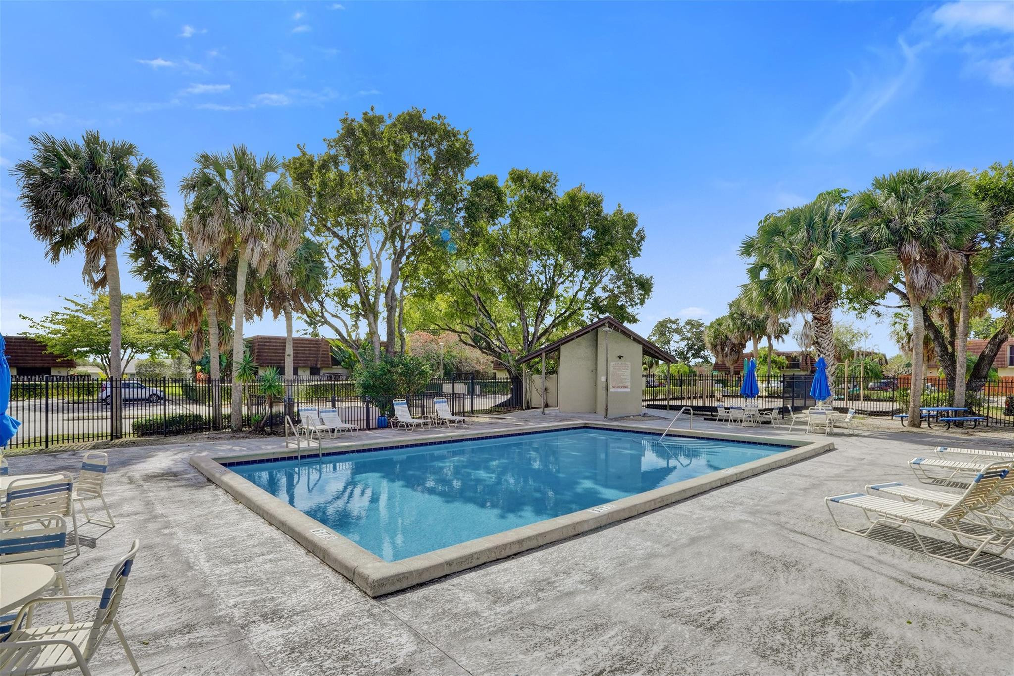 Springtree Lakes 79-12 B - Residential Lease