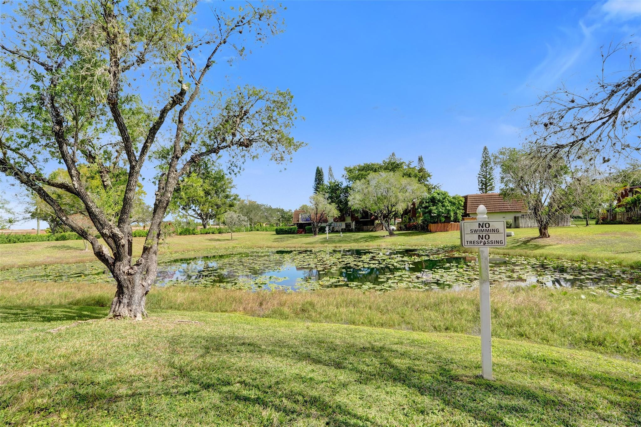 Springtree Lakes 79-12 B - Residential Lease