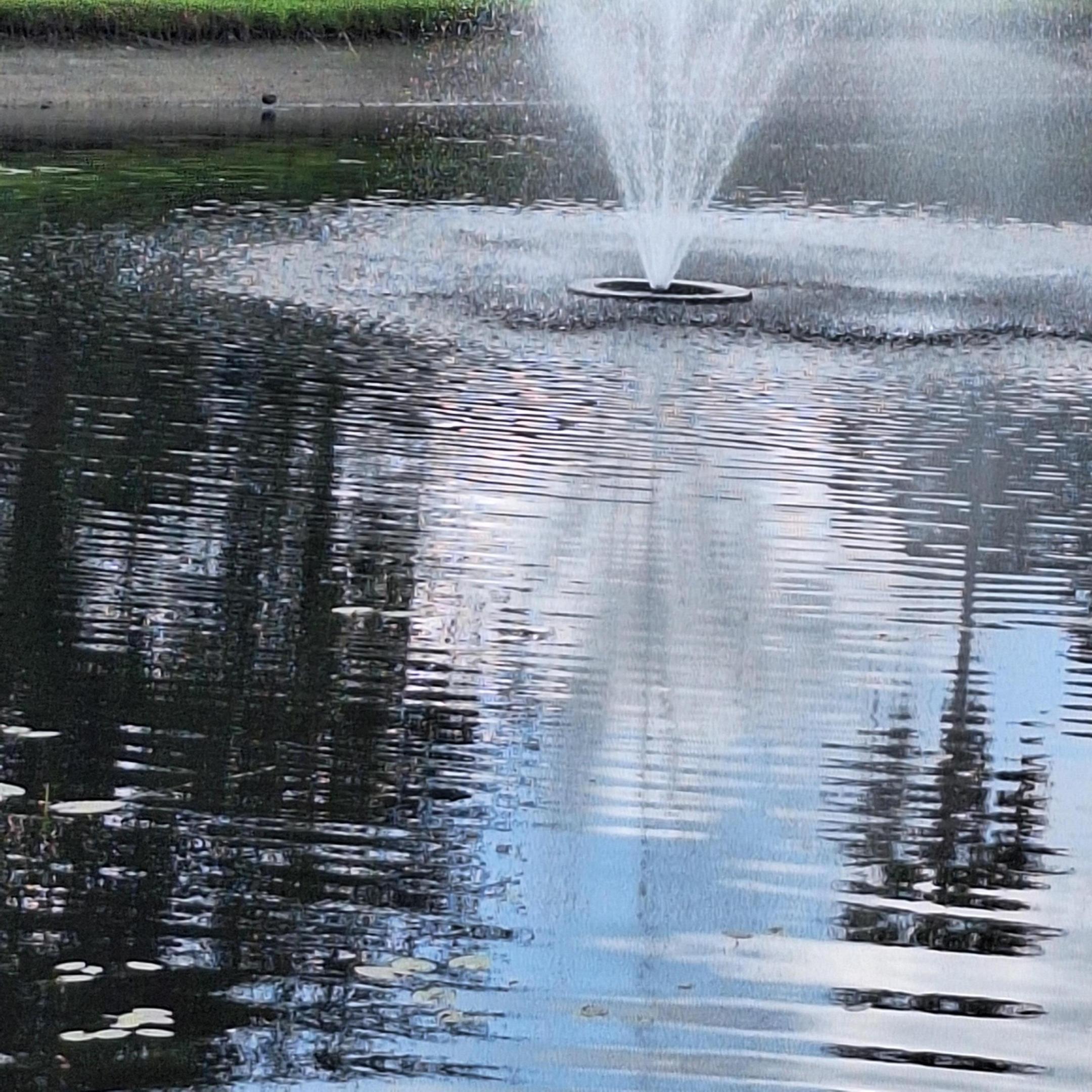 PALM CHASE LAKES CONDO - Residential