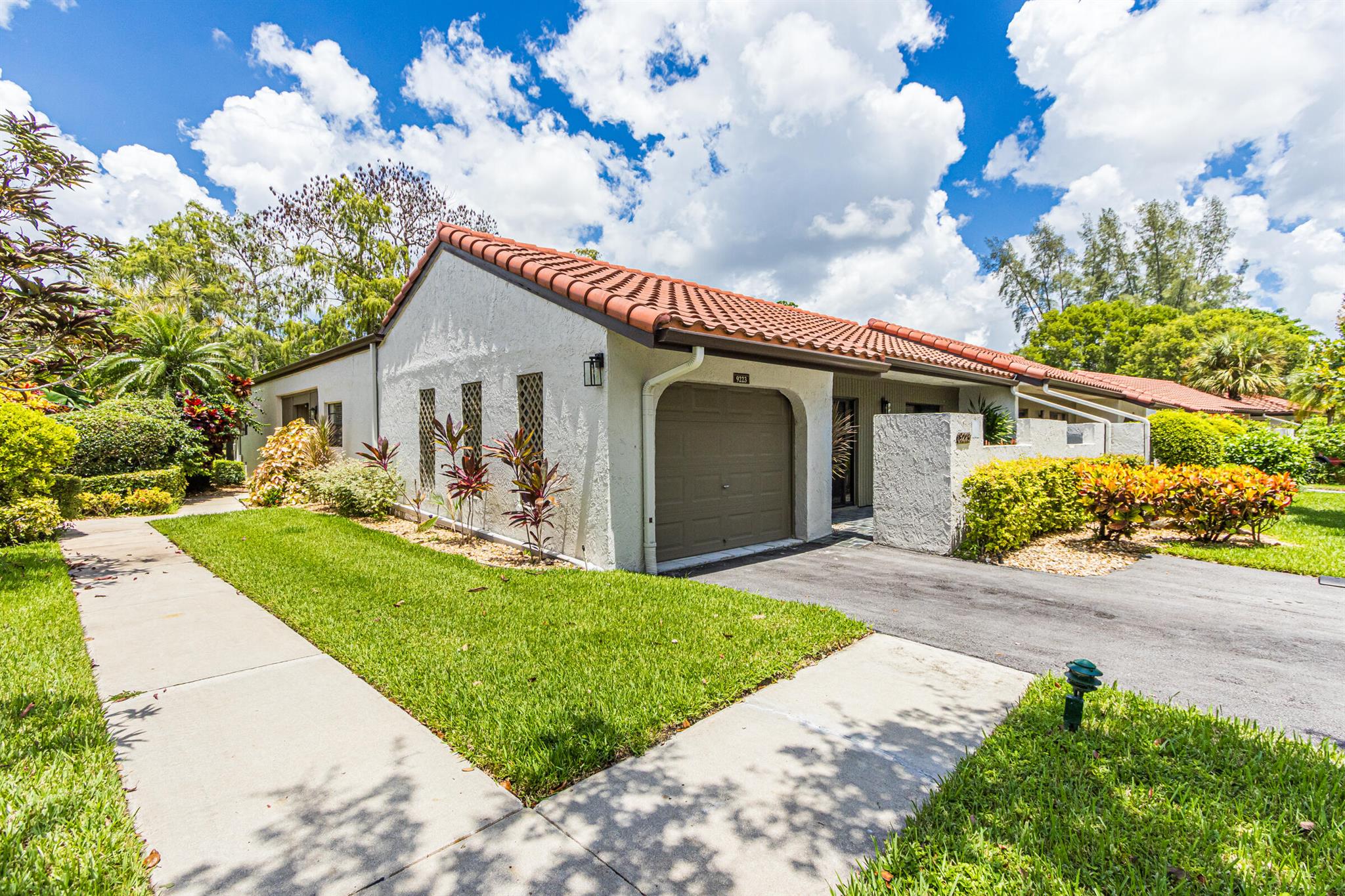 9223 Pecky Cypress 10a