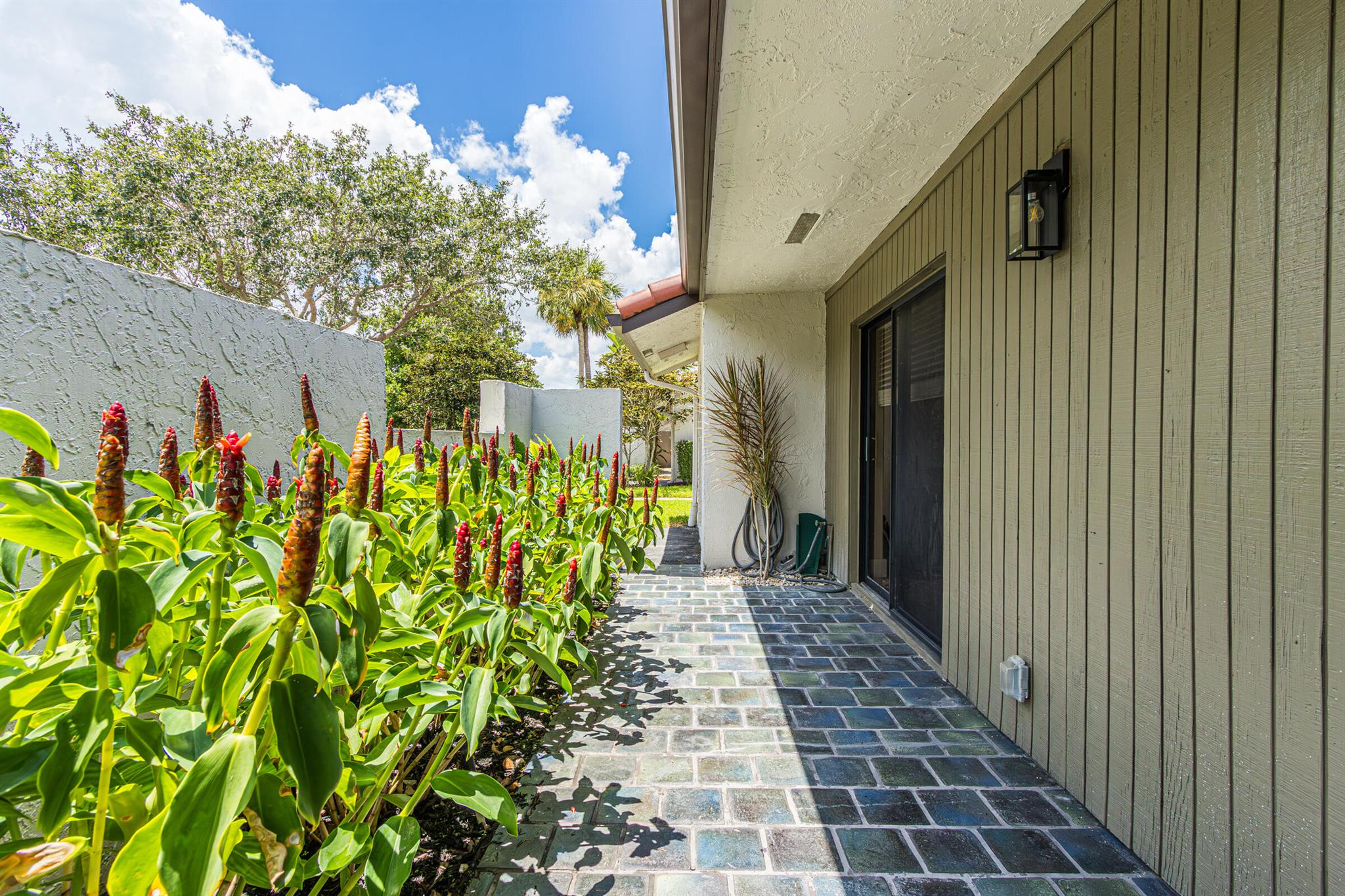 9223 Pecky Cypress 10a