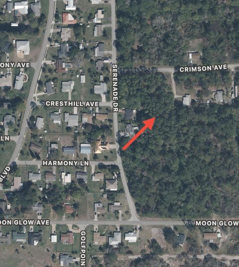 224 Moon Glow Court Lake Placid FL 33852