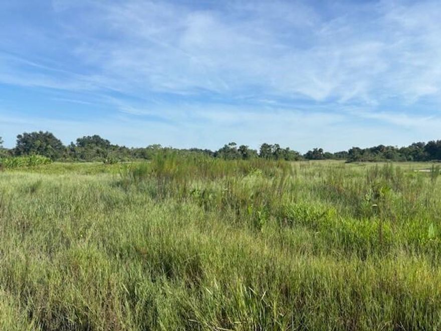 2.5 acres in Viking Estates. Close to the Kissimmee Prairie State Park. Bring your 4 -wheelers. This property is not only ideal for recreational uses such has camping, hunting and shooting, but it’s agricultural as well.
Owner financing available
Survey included