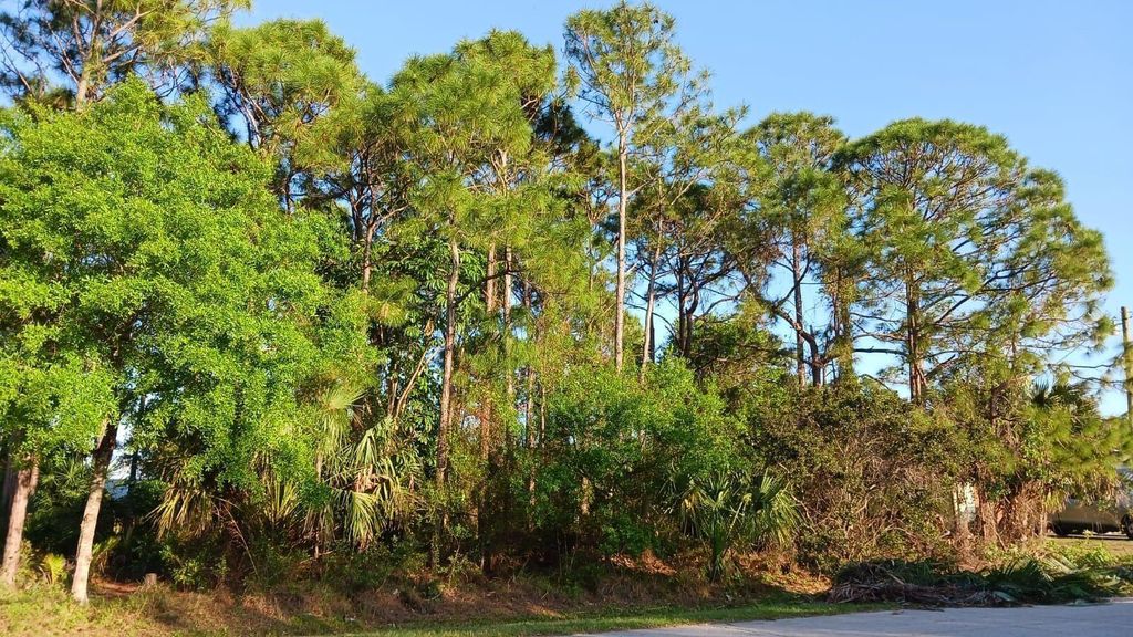 Photo of 6002 Myrtle Drive, Fort Pierce, FL 34945 (MLS # R10973468)