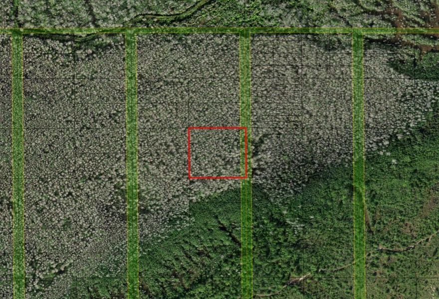 Holopaw offers vast, open spaces and abundant trails perfect for four-wheeler enthusiasts, making it a haven for off-road adventures. The area’s rich wildlife and serene natural environment provide excellent hunting opportunities for outdoor enthusiasts. Owning property in Holopaw ensures easy access to these activities, creating a personal retreat in the heart of Florida’s wilderness.Owner financing available