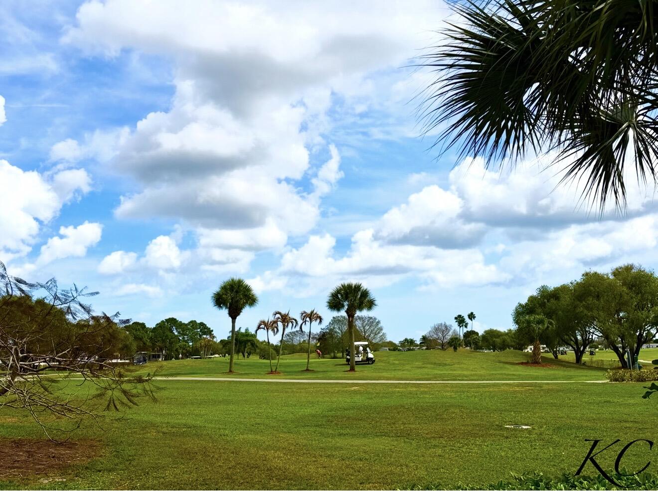 THE LINKS AT SAVANNA CLUB - Residential