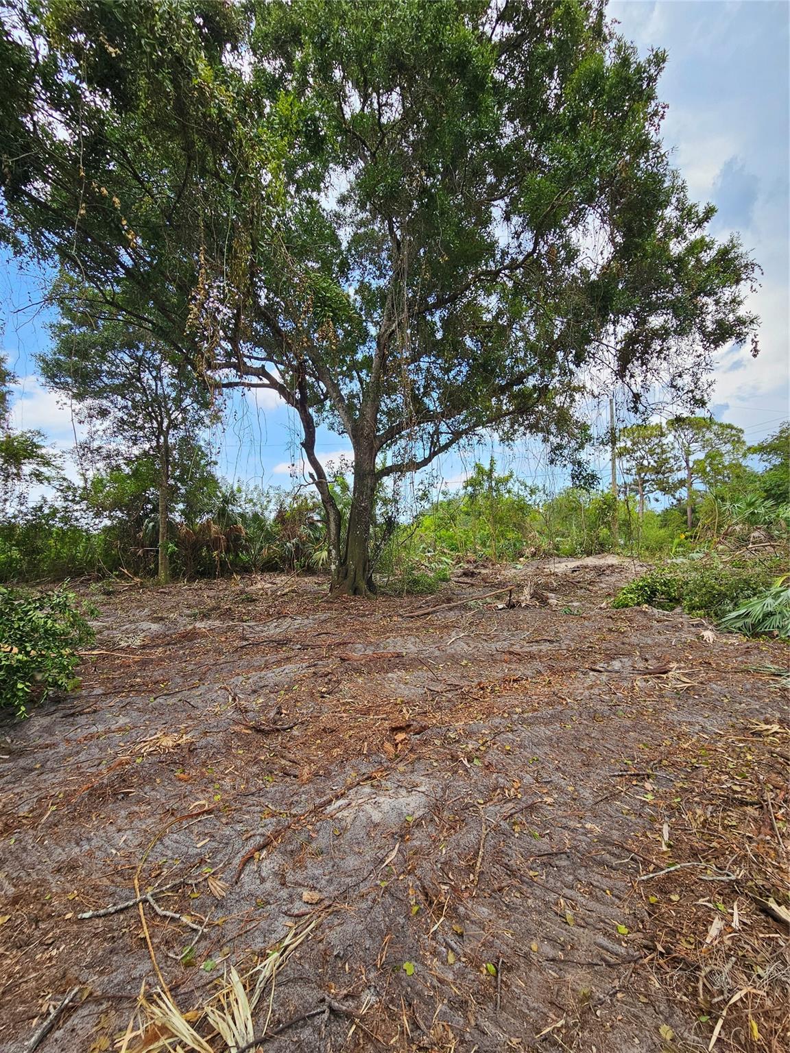 Cleared 5 acre lot is Directly off C Rd and is high and dry. Pictures are before it was cleared, new pictures coming soon.
Seller is a builder and will build to suit if needed.
Financing is available with $300k down.