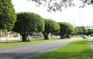 POINCIANA PLACE CONDO 1,2 - Residential