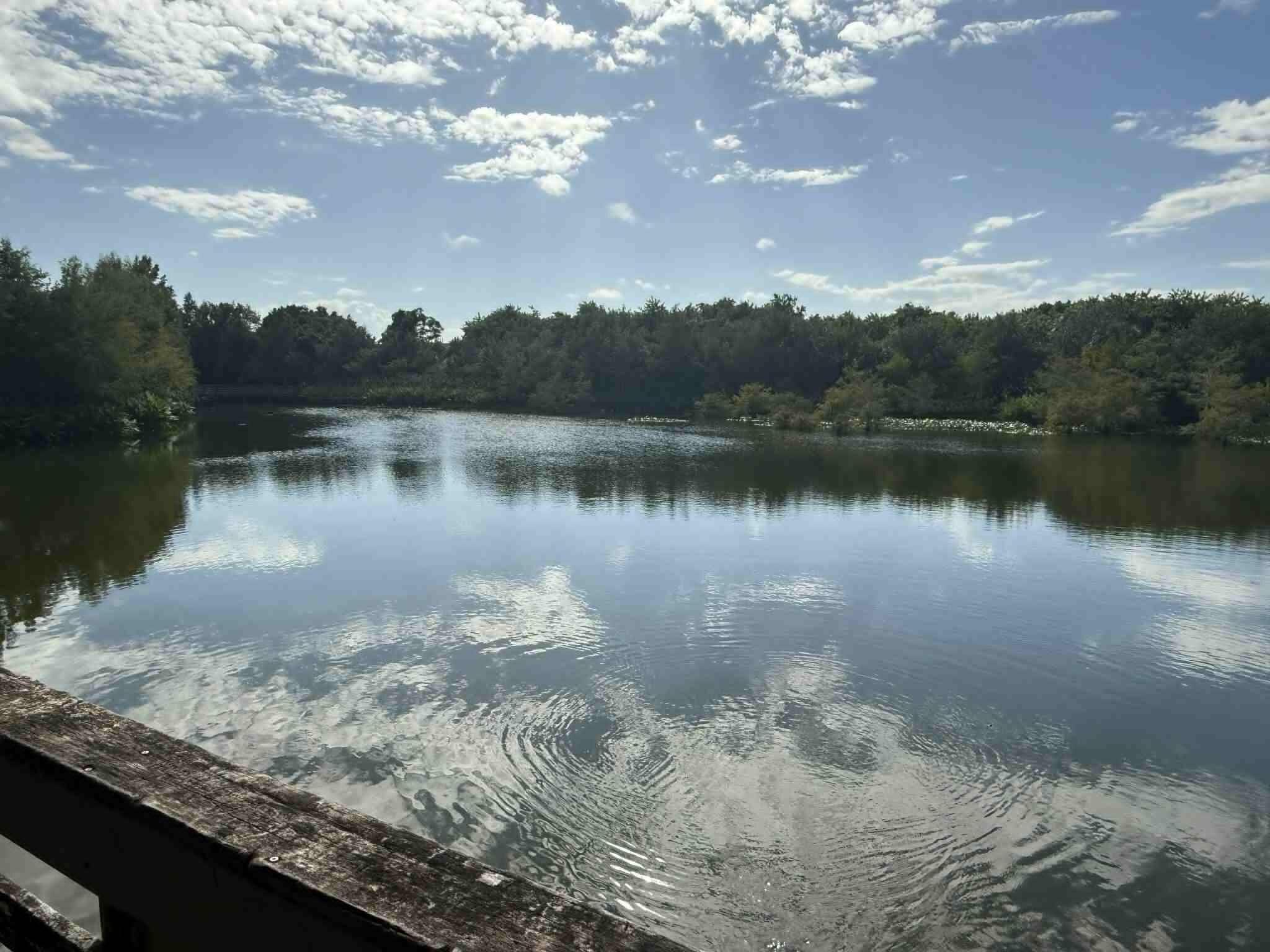 EAST LAKE VILLAGE NO 3 - Land