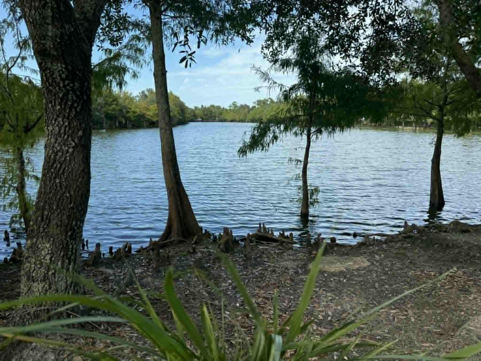 EAST LAKE VILLAGE NO 3 - Land