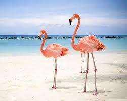 PORT ST LUCIE SECTION 29 - Land