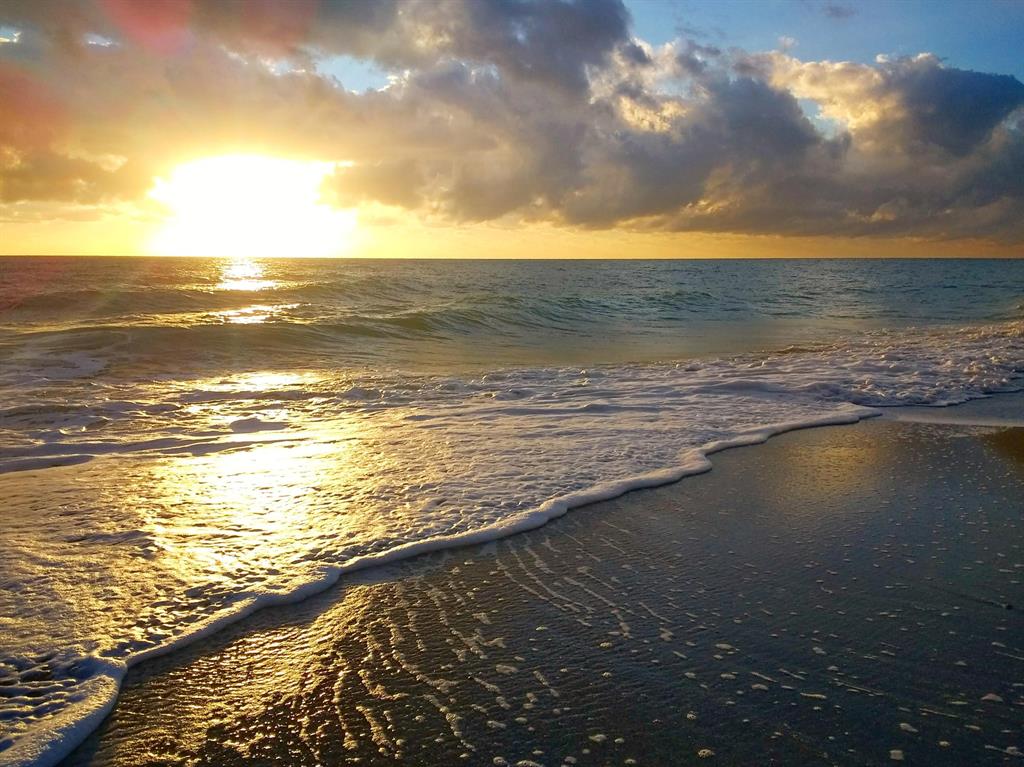 OCEANIA II CONDO - Residential