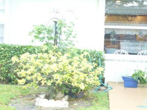 PINES OF DELRAY NORTH CONDO - Residential