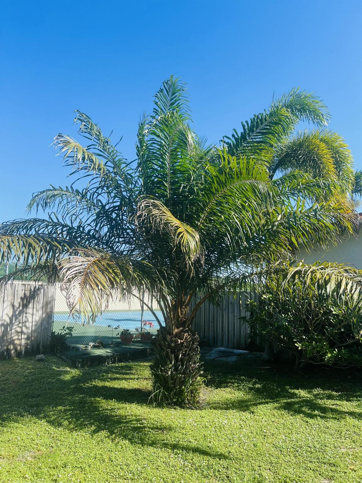 BOCA RATON HILLS SEC 2 - Residential