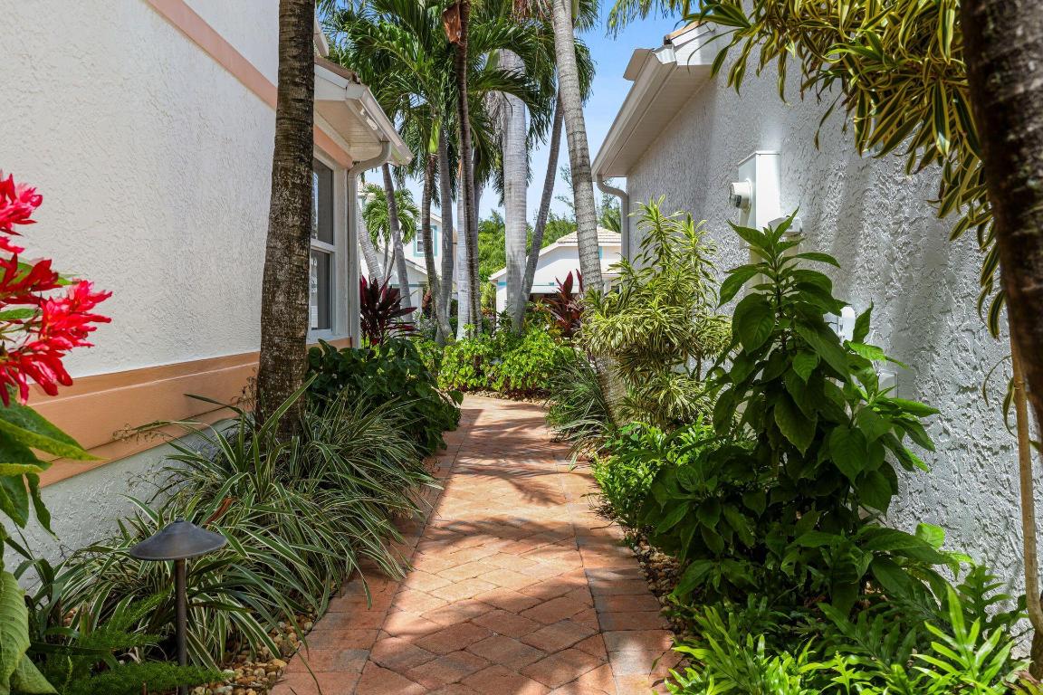 Bay Tree - Residential