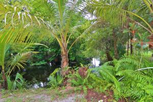 LOXAHATCHEE GROVES - Residential