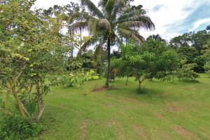 LOXAHATCHEE GROVES - Residential