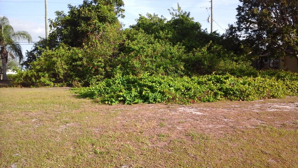 Photo of 306 Main Street, Sebastian, FL 32958 (MLS # R11169708)
