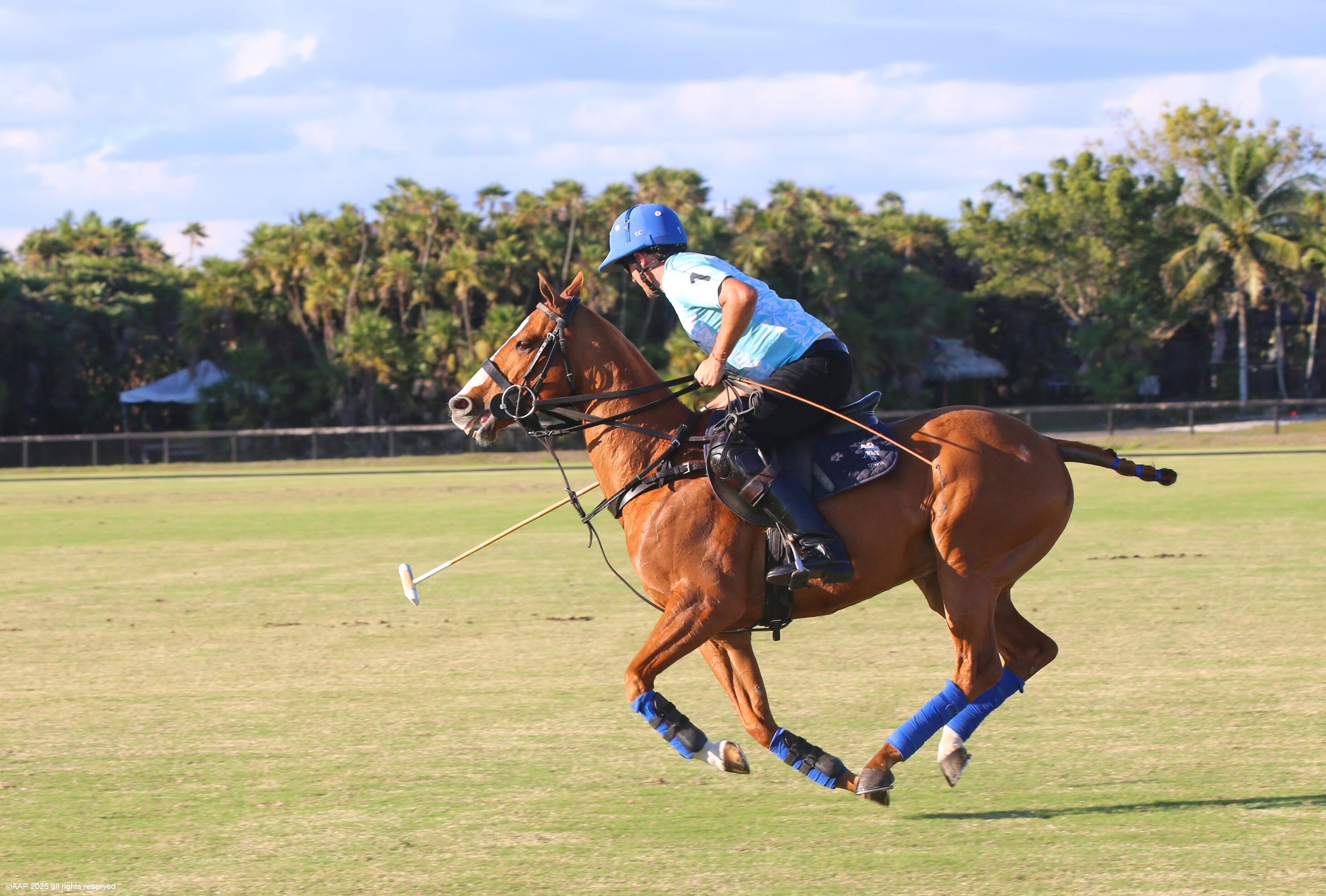 South Wellington - 50th Street - Residential