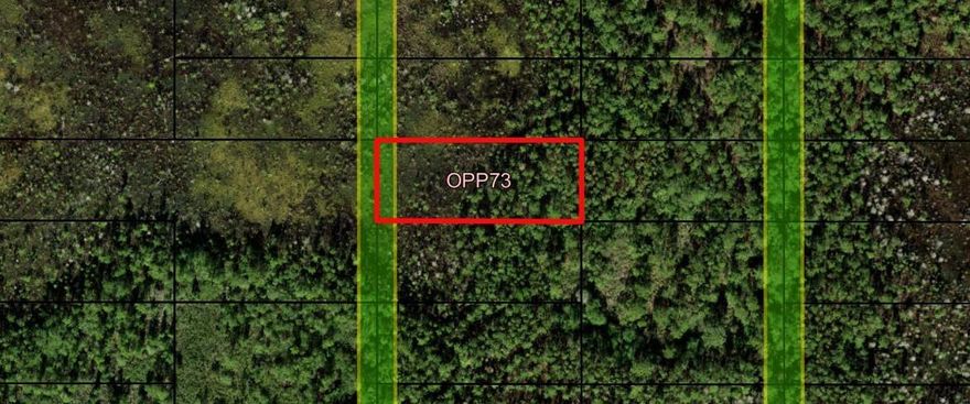 CAMP HUNT RIDE off Old Grade Road in Polk City, FL. This private one acre lot is a blank canvas for your recreational and/or agricultural ventures. Take advantage of our owner financing with only $1,500 down and no closing costs. Superb hutingOwner financing available