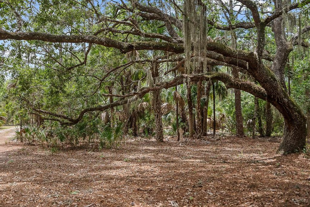 Photo of 11511 SW Citrus Boulevard, Palm City, FL 34990 (MLS # R10994957)