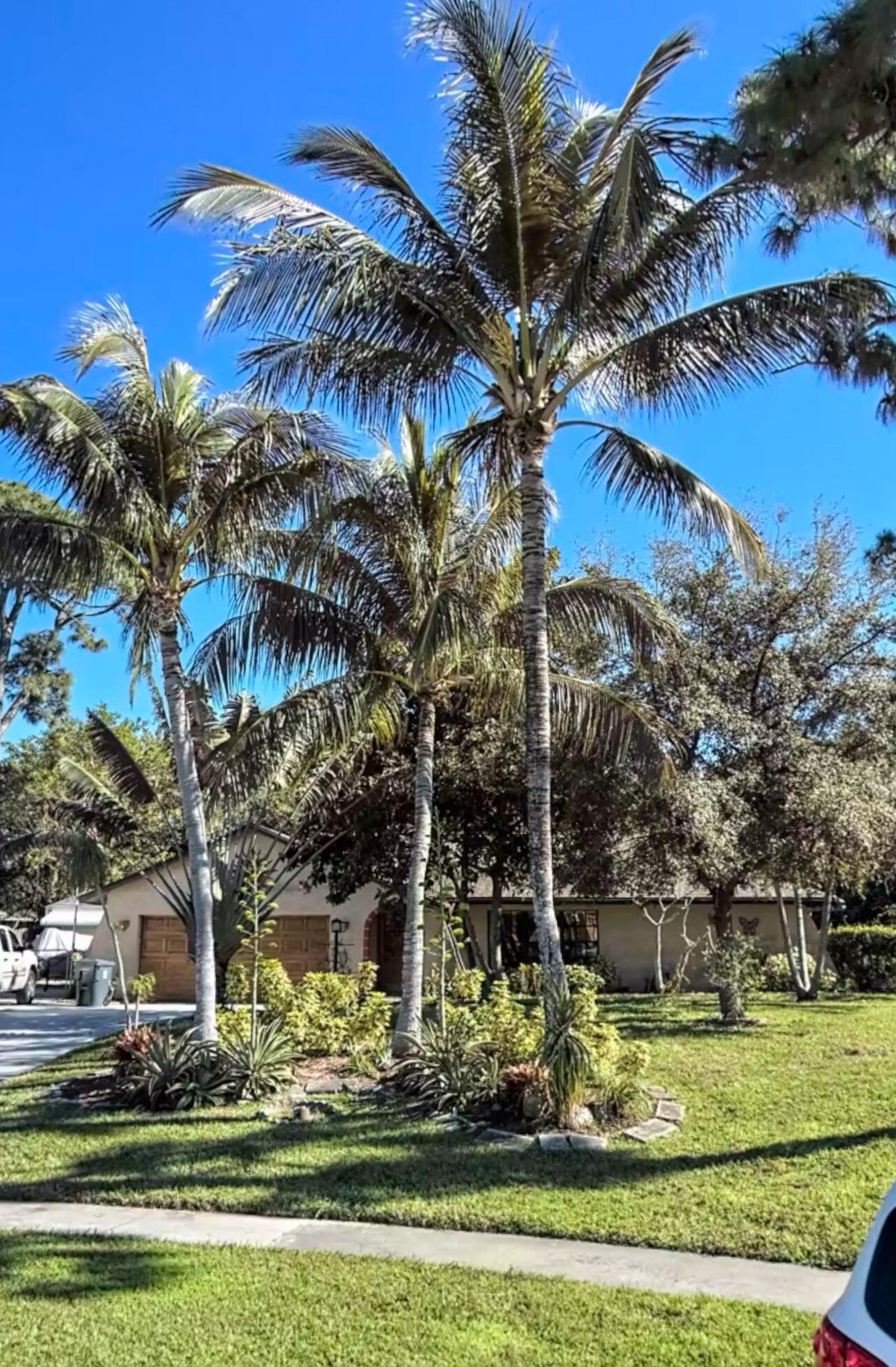 Photo of 4262 Mediterranean Road, Lake Worth, FL 33461 (MLS # R11015478)