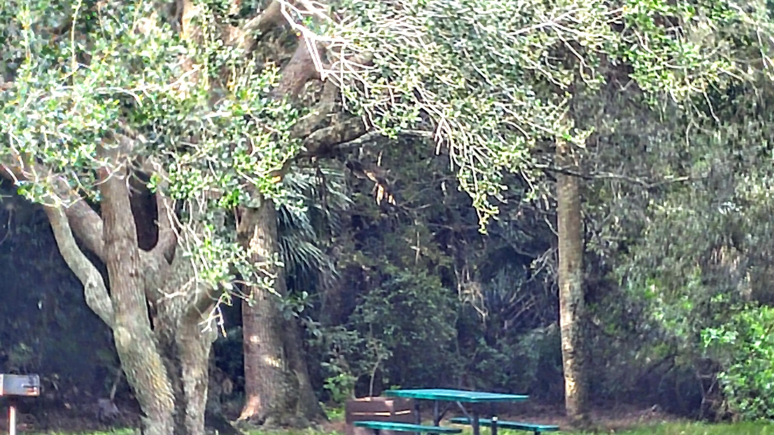 PARK AT WINDWOOD CONDO - Residential Lease