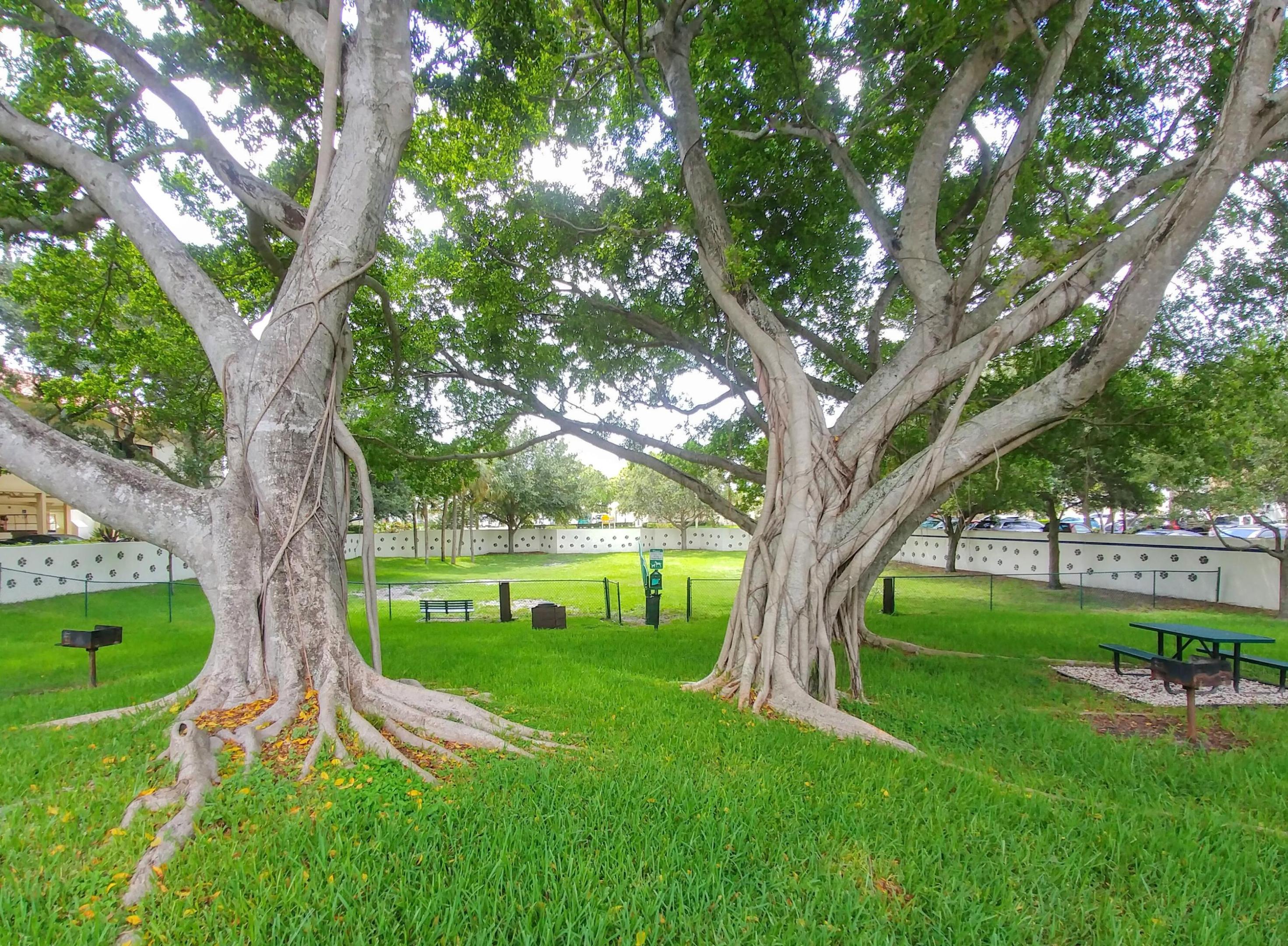 PARK AT WINDWOOD CONDO - Residential Lease