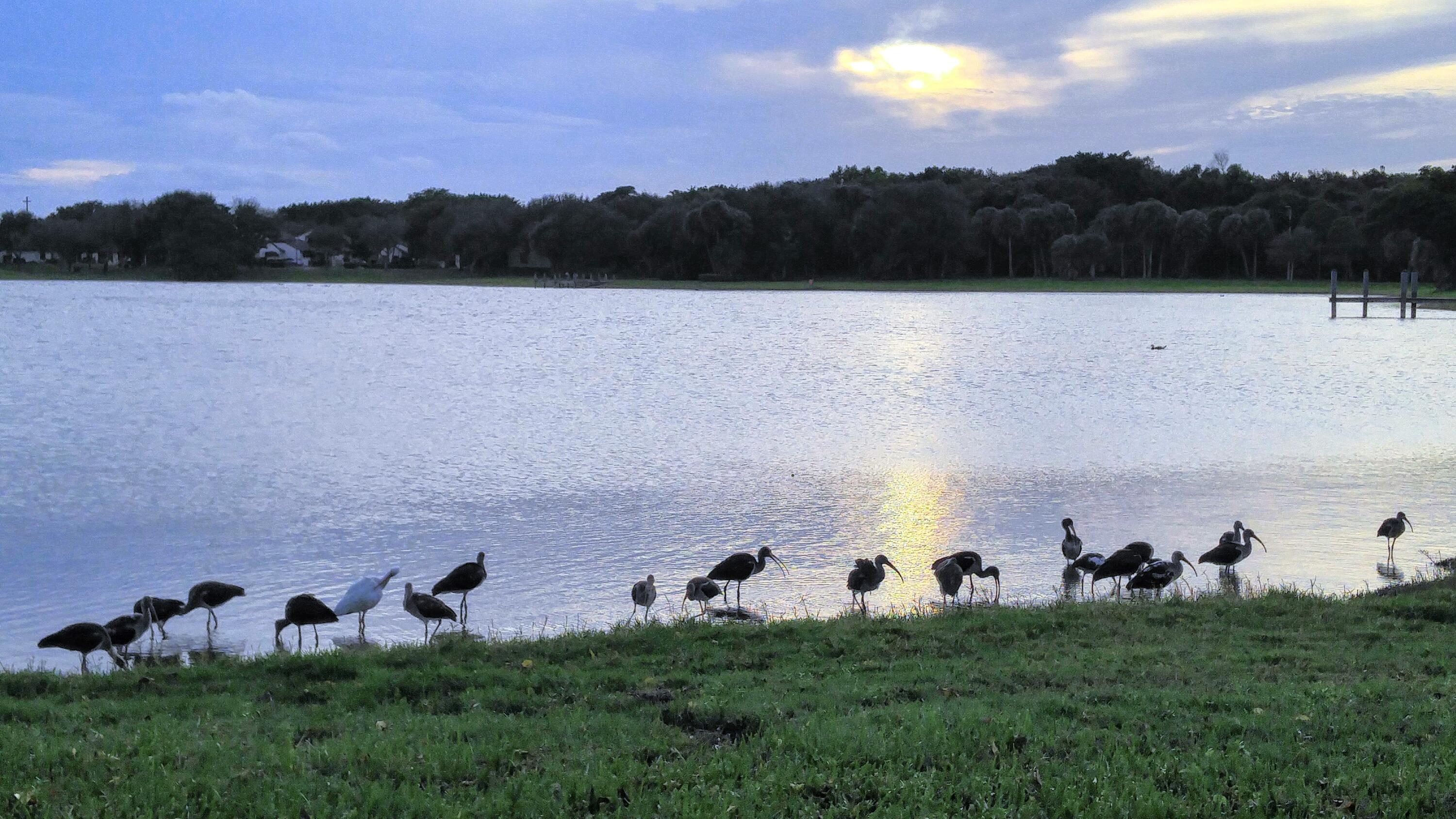 PARK AT WINDWOOD CONDO - Residential Lease