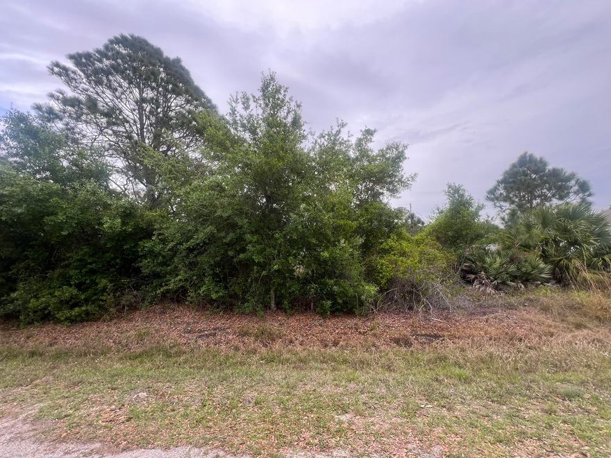 Build your Dream Home in Basswood!  Don't miss this opportunity to own this spacious .355 acre lot located in Northwest Okeechobee, Florida.  Nestled in the desireable "homes only" area of Basswood.  This property offers the perfect setting to create your ideal home with plenty of room for outdoor living.  This property is in the county, but only a few miles from town, shopping, dining or Lake Okeechobee.   There is NO HOA.  Bring your plans and build your dream home today.