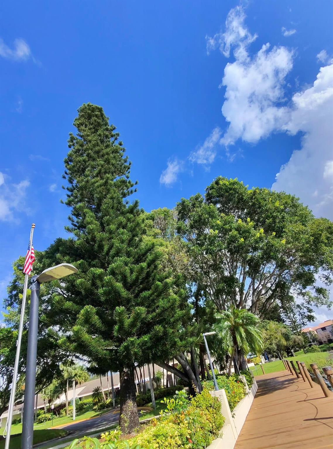 TARTAN COCONUT CREEK PHAS - Residential