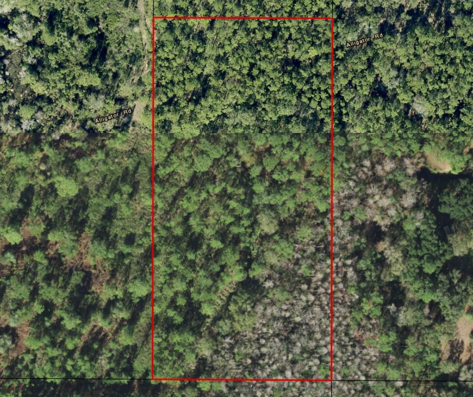 GS46 Green Swamp - Land