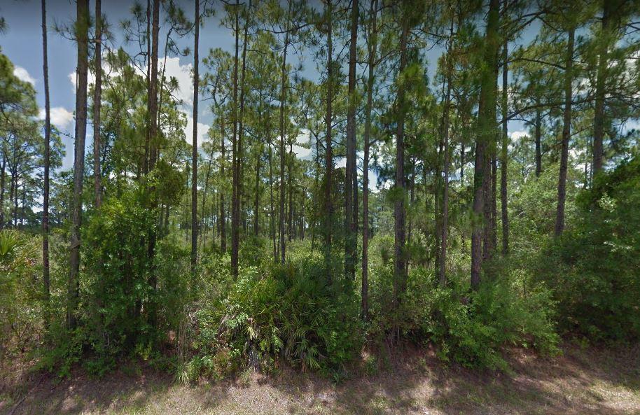 Platts Bluff Ranches- Beautiful 4.44 acre parcel located on paved dead end road with dual entry points from NW 154th Avenue and NW 151st Terrace. Property is adorned with Tall Pines and has power lines for easy electricity connection. Centrally located between Okeechobee and Highlands County off of SR 70 West. Build your dream home in the country!