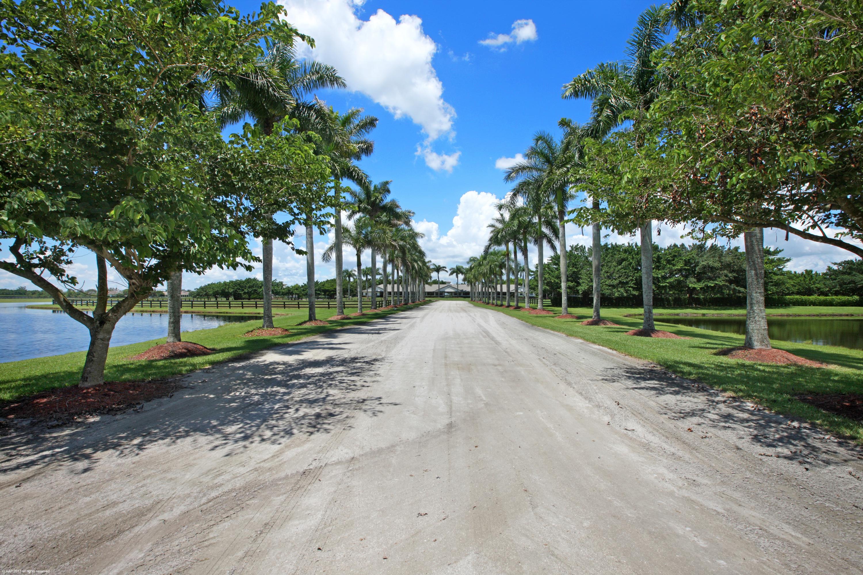 Palm Beach Point East - Residential