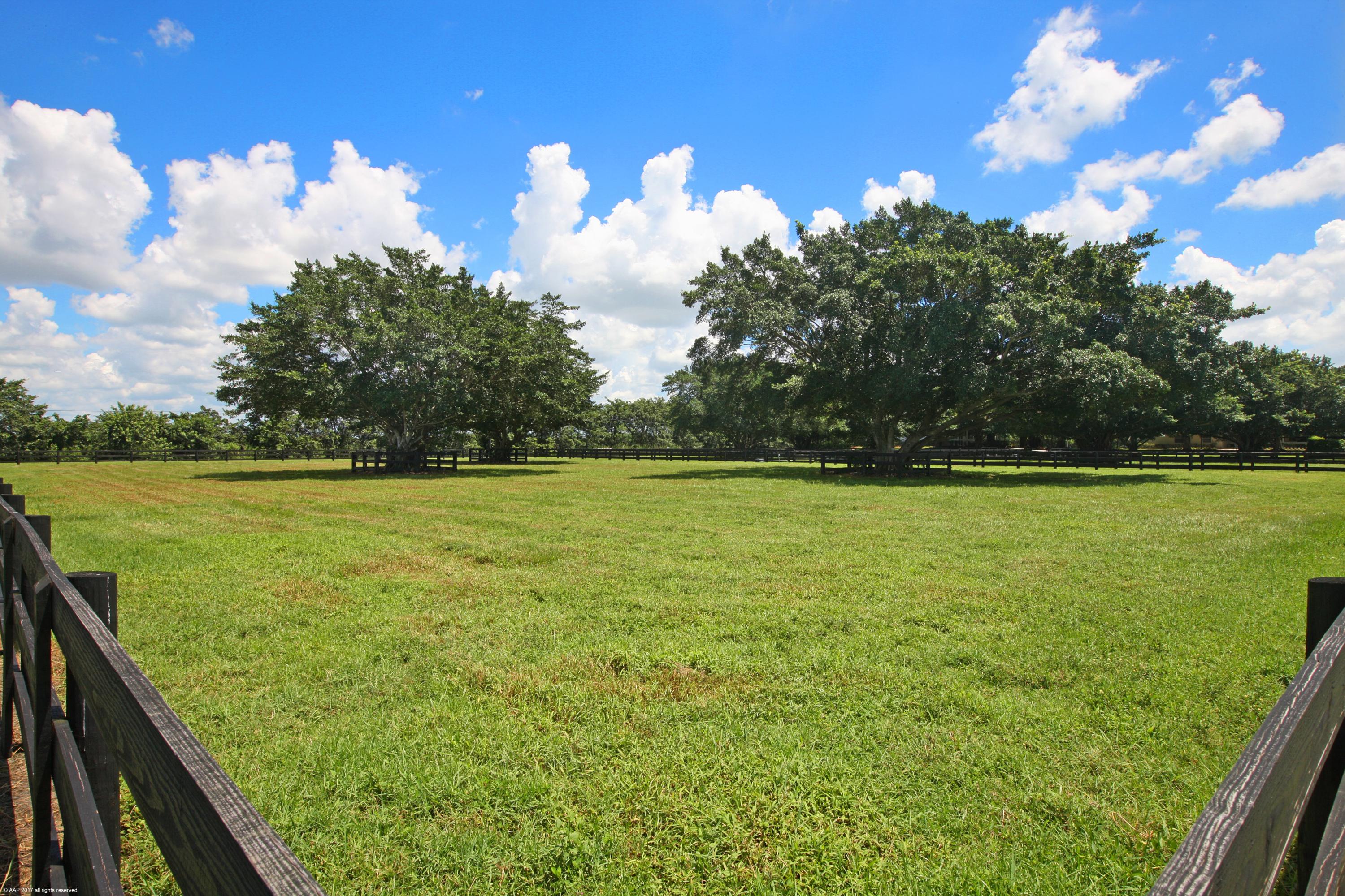 Palm Beach Point East - Residential